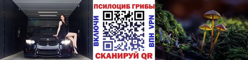 Галлюциногенные грибы Psilocybe Купить где Баймак